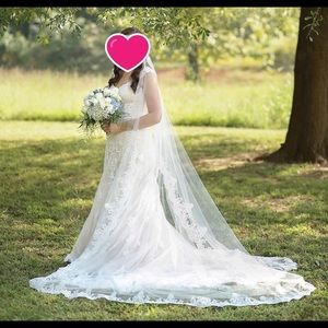 Wedding Dress and Veil